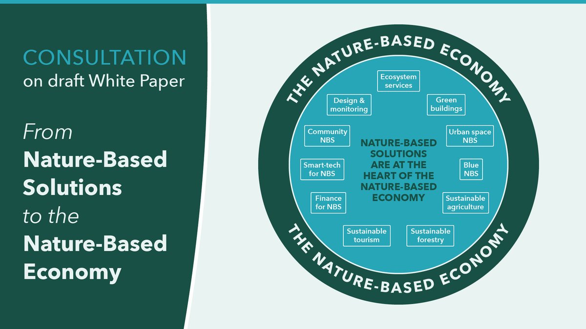 Measuring the return on investment for #naturebasedsolutions - what do investors need to know to evaluate monetary and non-monetary returns and capture the value of #NBS? Have your say:  bit.ly/3gy9all