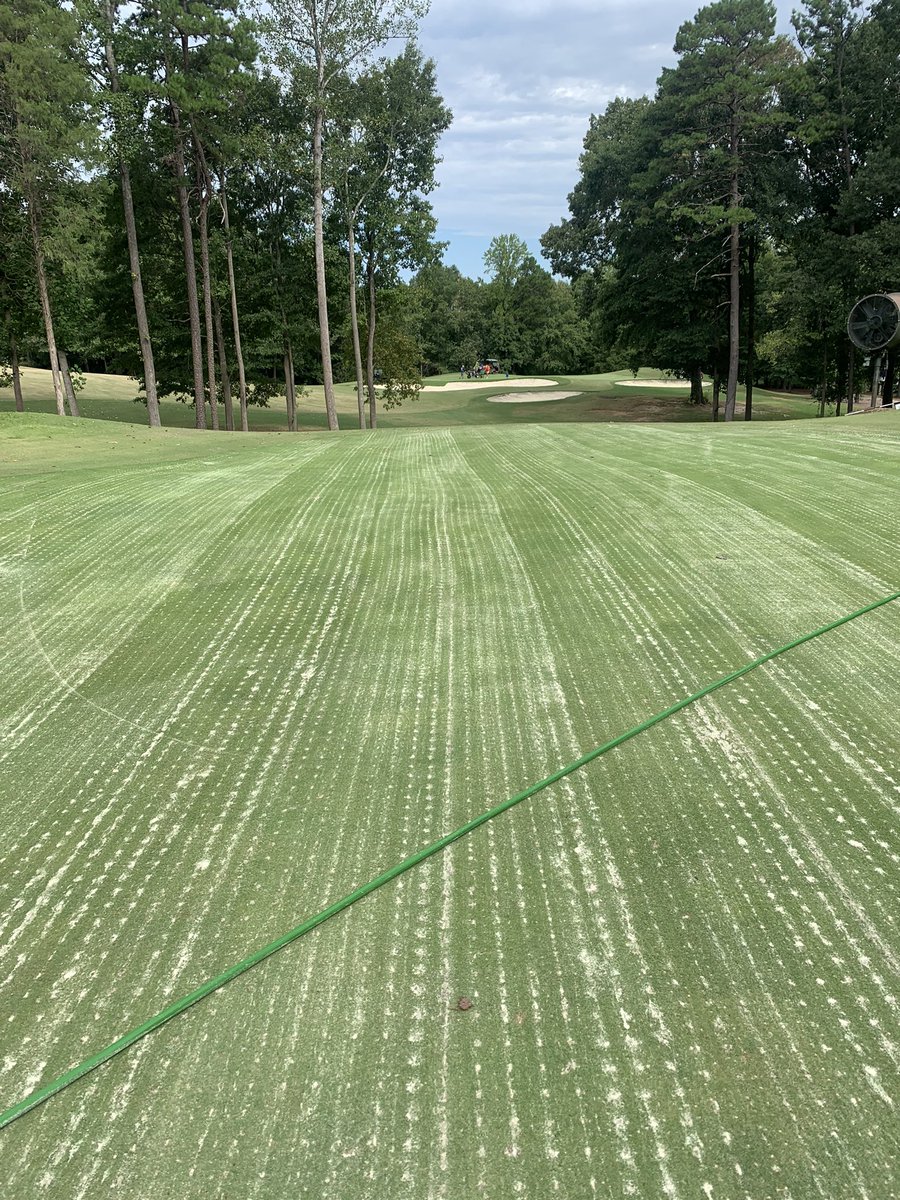 TurfPalmetto's tweet image. Firethorne Country Club almost finished. Love coming here and working with Tyler and his staff. They always have it going on!