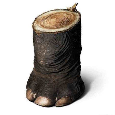 Green_Neo101's tweet photo. Save Tree = Save wildlife
#StateOfTrees #ActionForTrees
حفظ درخت = حفظ حیات وحش https://t.co/jL2aVnyQeB