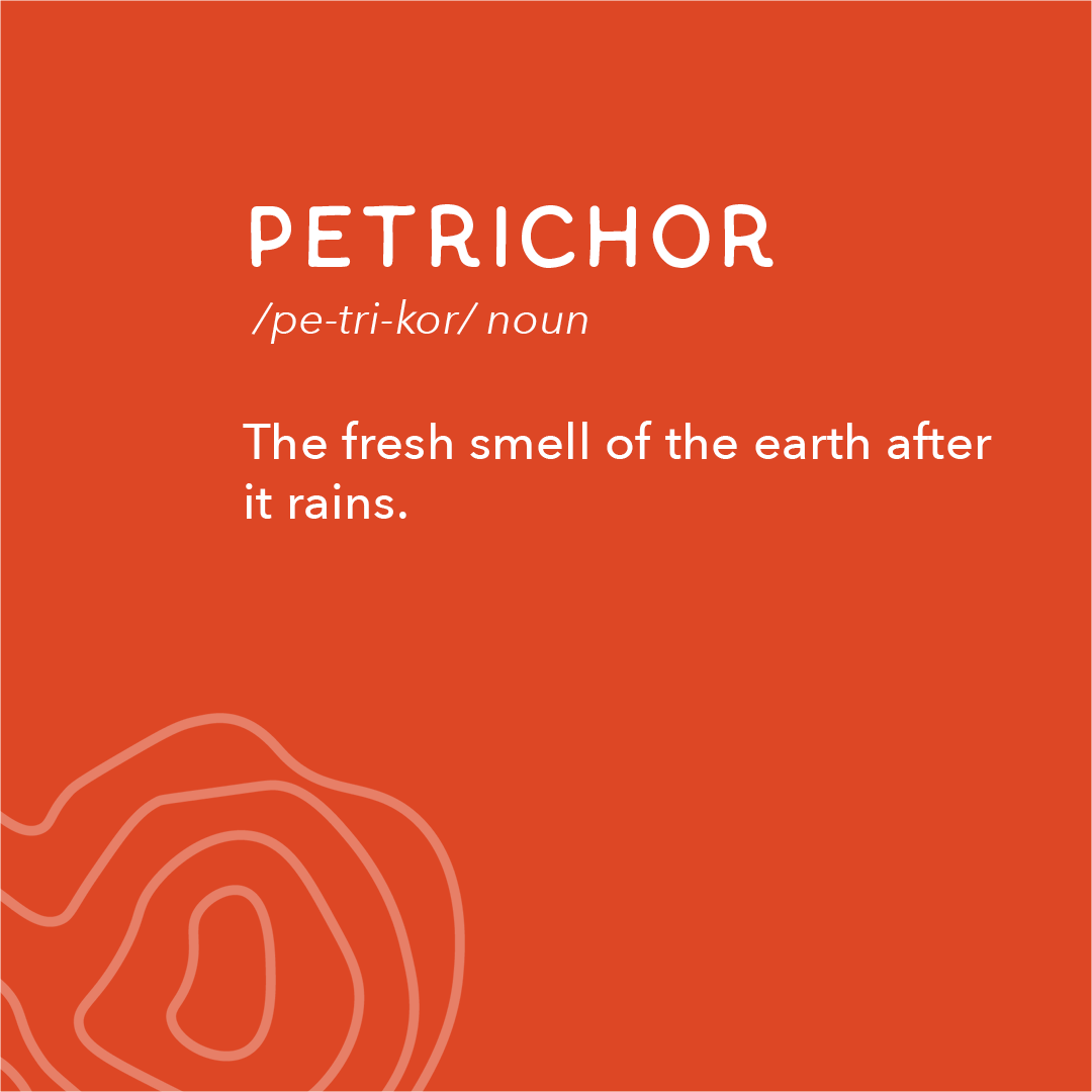 Logecamps's tweet photo. LOGE Lingo is back with hiking words you may not know. Case in point, what the hey is a petrichor? #LOGEcamps #LiveOutsideGoExplore #hiking https://t.co/ECYLjHIh8N