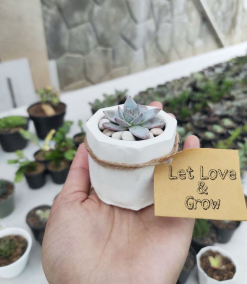 ThreadRacun's tweet photo. Yang lagi ngerencanain nikahan yuk merapat! Kali ini aku mau share kumpulan souvenir nikahan yang lucu dan murah Sparkling heart
#shopee_id #99SuperShopeePay
#souvenirnikahan https://t.co/HeTuBkYxNQ