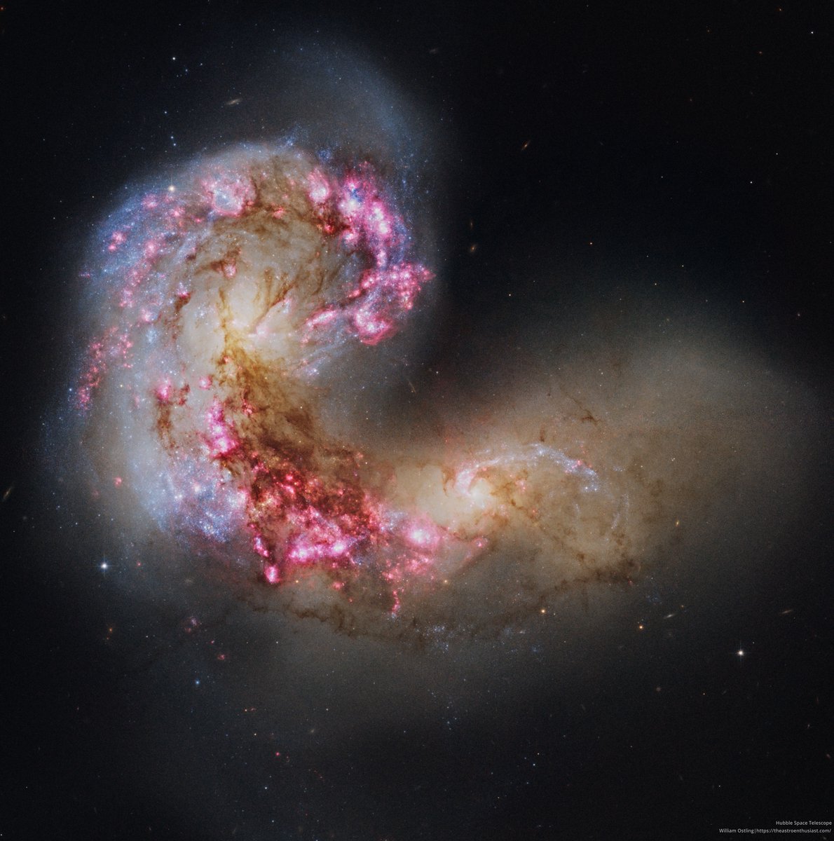 redditSpaceView's tweet image. Stellar explosions in the Antennae Galaxies. Data from Hubble, processed by me.