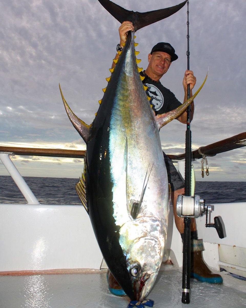 Nabakari Anglers こんなマグロ世の中におるん マグロ キハダマグロ メバチマグロ クロマグロ ジギング Nabakari Anglers こんなマグロ世の中におるん マグロ キハダマグロ メバチマグロ クロマグロ ジギング