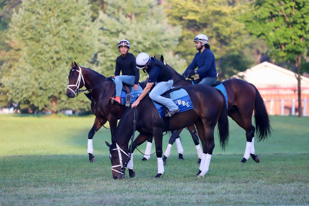 Penelope P. Miller (@penelopepmiller) on Twitter photo Going through my photos from last weekend and wanted to share this photo of <a href="/bradcoxracing/">Brad H. Cox Racing</a> trainees enjoying a quiet moment on Oklahoma's backstretch. Love how relaxed this group is. Going through my photos from last weekend and wanted to share this photo of <a href="/bradcoxracing/">Brad H. Cox Racing</a> trainees enjoying a quiet moment on Oklahoma's backstretch. Love how relaxed this group is.
