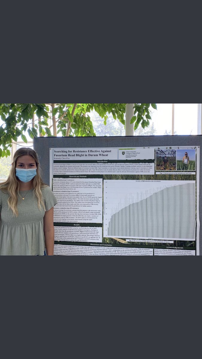 Liam Choo-Foo tweet media