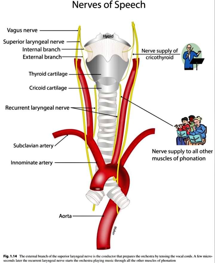 Dr. Johnny Stewart. MD , FRCSC / RMC, CAF tweet media