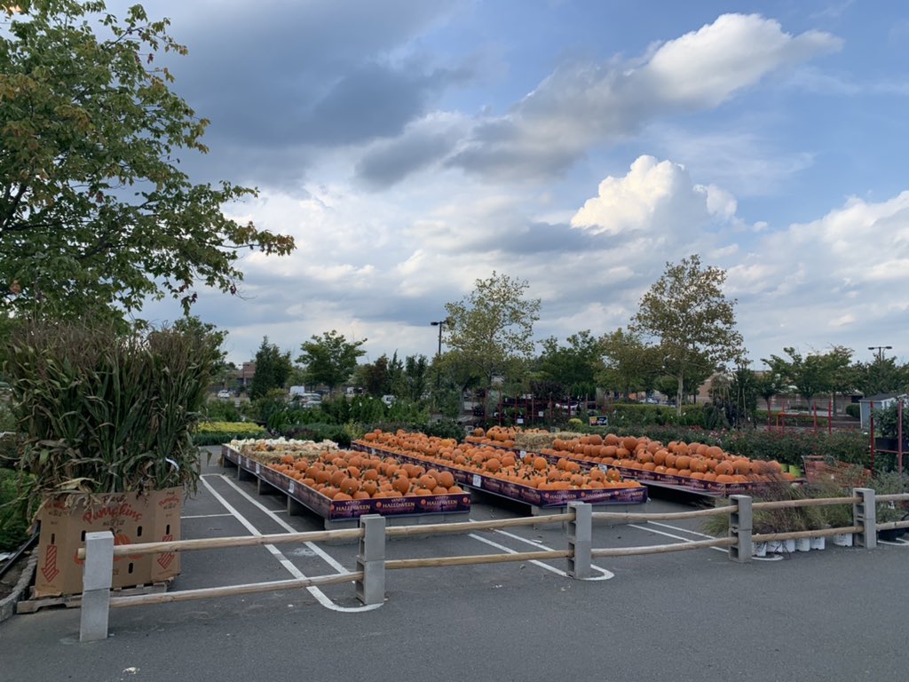 Matthew Geiger (@matthewgeiger23) on Twitter photo 921 going big with fall! Thank you to our grower partners for the phenomenal set! <a href="/ChristineTHD/">Christine Sweeney</a> 921 going big with fall! Thank you to our grower partners for the phenomenal set! <a href="/ChristineTHD/">Christine Sweeney</a>
