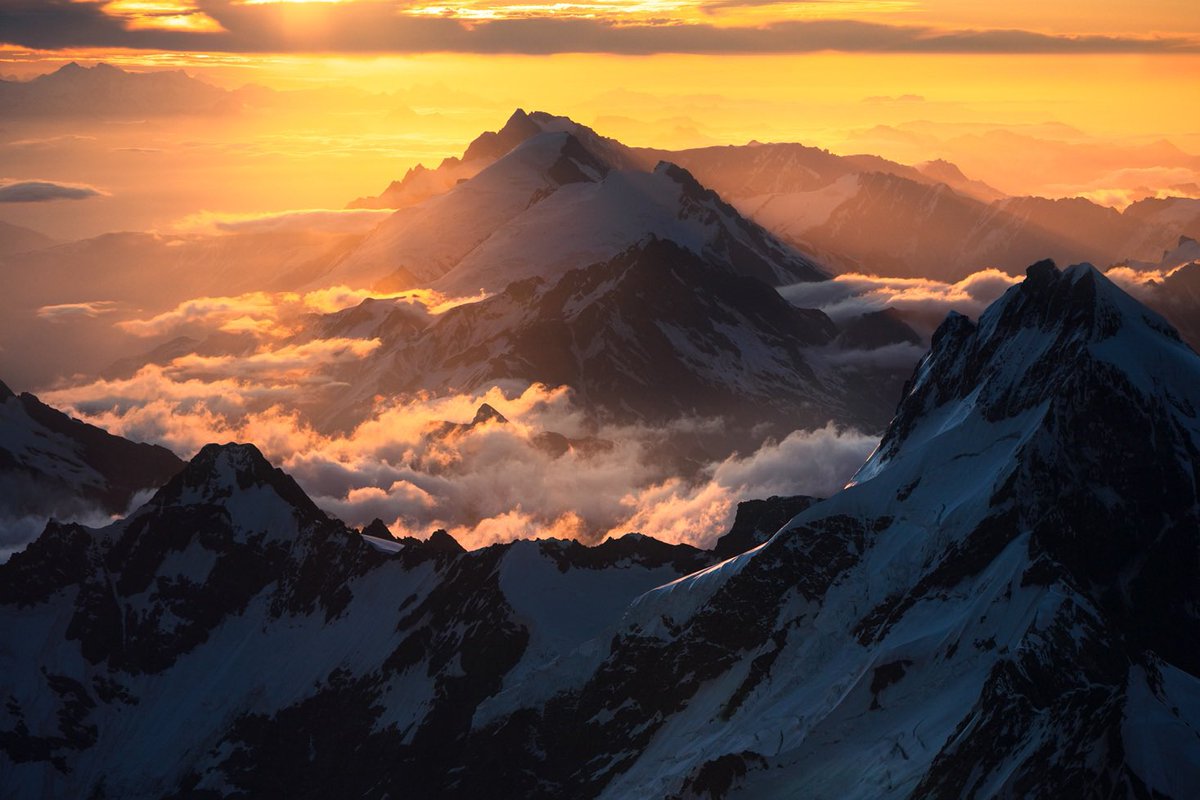 William Patino tweet media