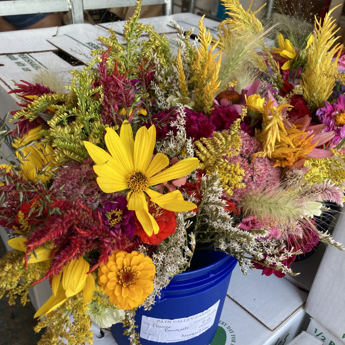 Number1Sons's tweet image. Fresh flowers always brighten up the loading dock 💐 check out these beauties from Wollam Gardens and Path Valley — plenty more next week!