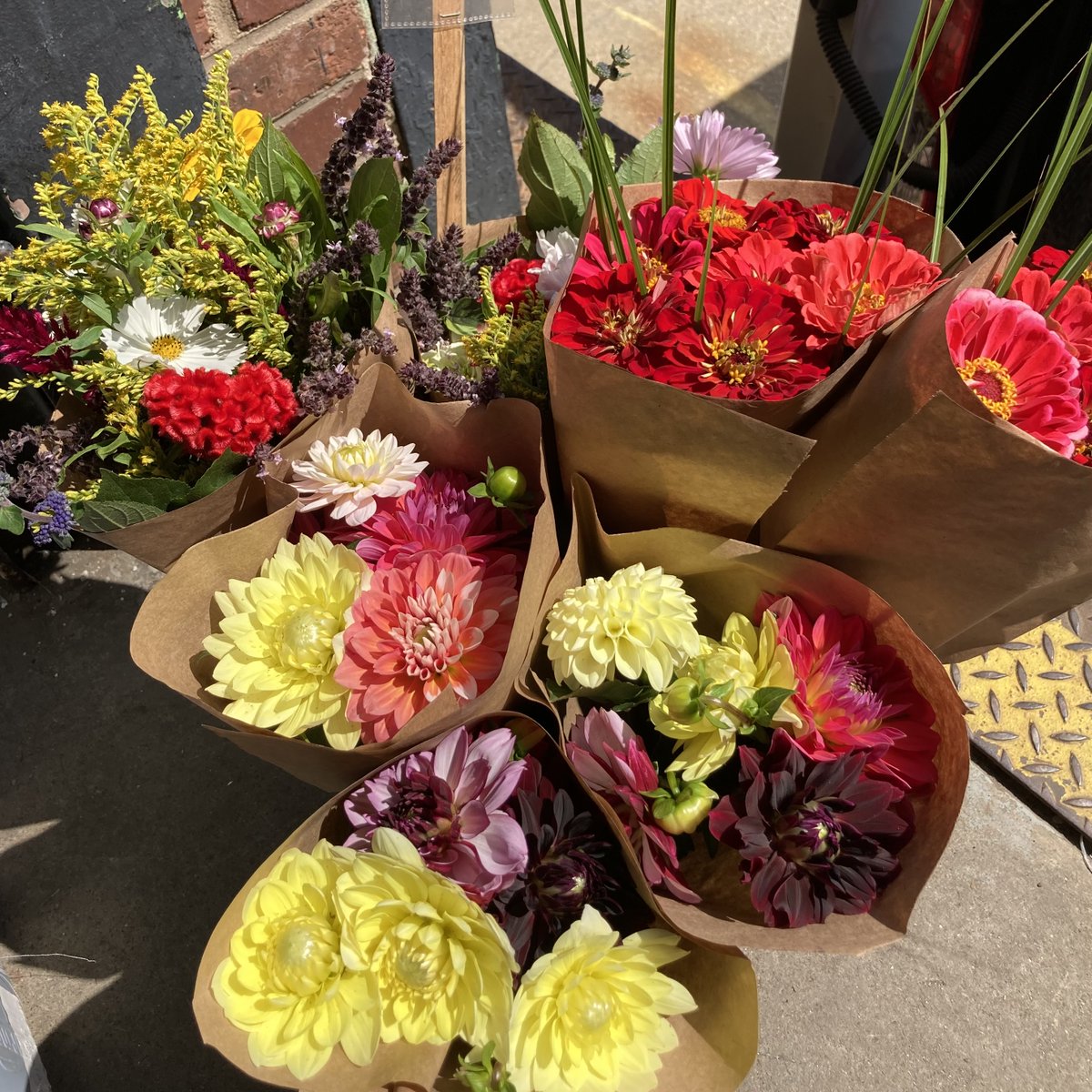 Number1Sons's tweet image. Fresh flowers always brighten up the loading dock 💐 check out these beauties from Wollam Gardens and Path Valley — plenty more next week!