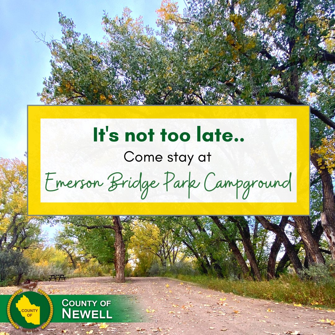 It's not too late! Camping is still open at Emerson until Sept 20! Lose yourself in the changing colours of the trees! For more details: countyofnewell.ab.ca/p/emerson-brid…