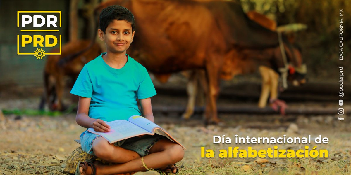 PoderPRD's tweet image. Creemos que un México con educación es un México que sabe decidir. #SomosPoderPRD