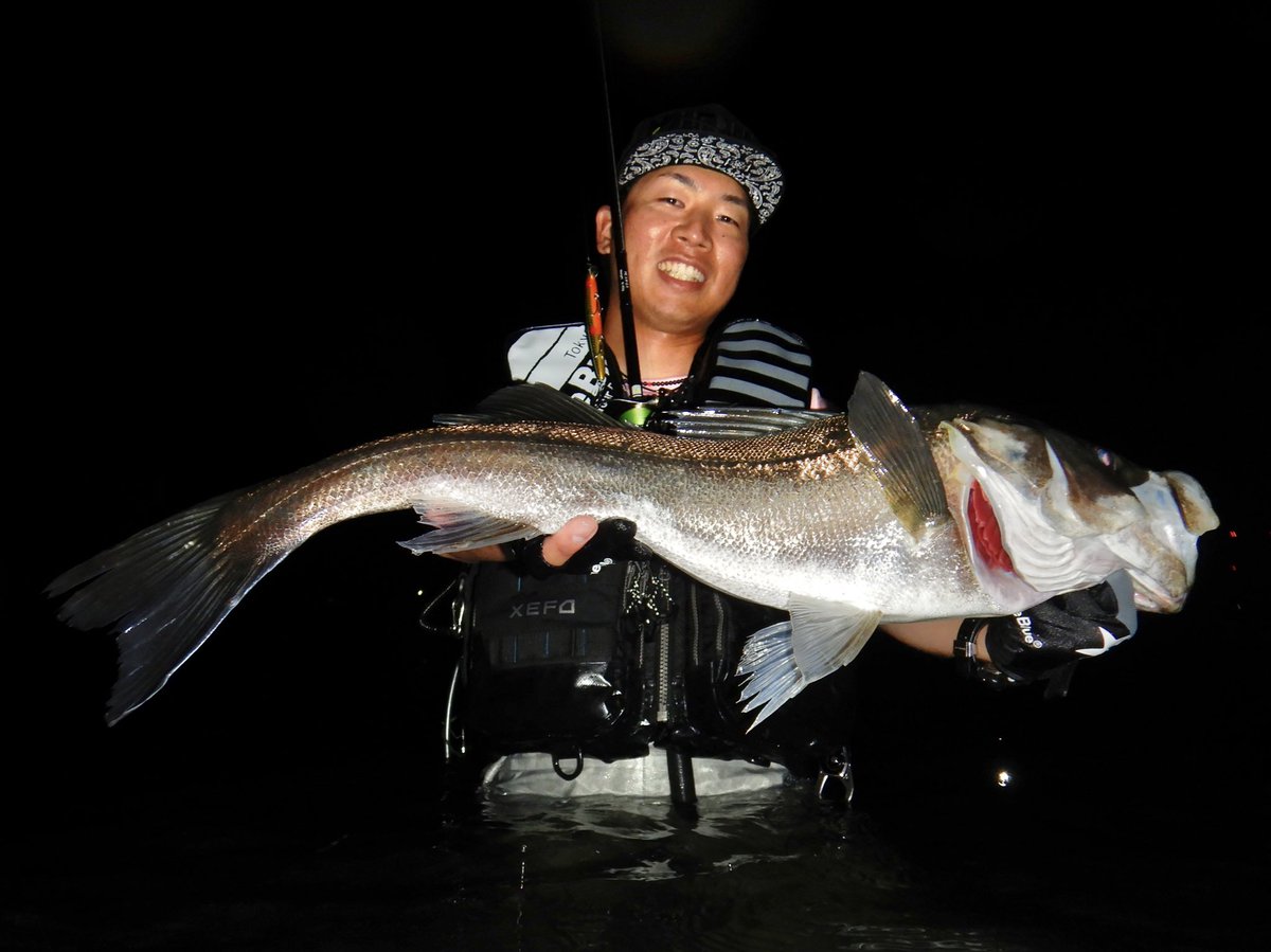 Blueblue ブルーブルー Bluebluefishing Twitter Blueblue ブルーブルー Bluebluefishing Twitter