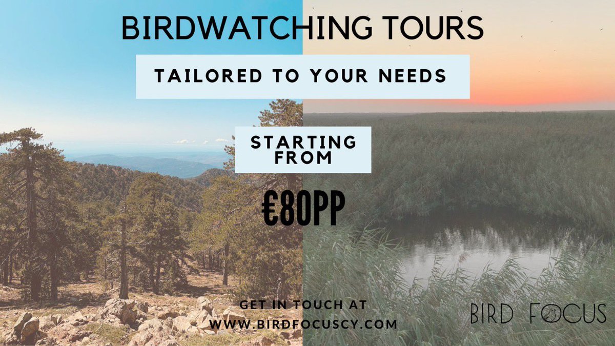 From mountains to wetlands and everything in between. Birdwatching in Cyprus is not to be missed with some fantastic species to be seen! 
We offer affordable and enjoyable tours for both novice and professional birders. 
Please get in touch to find out more!
#cyprusbirds