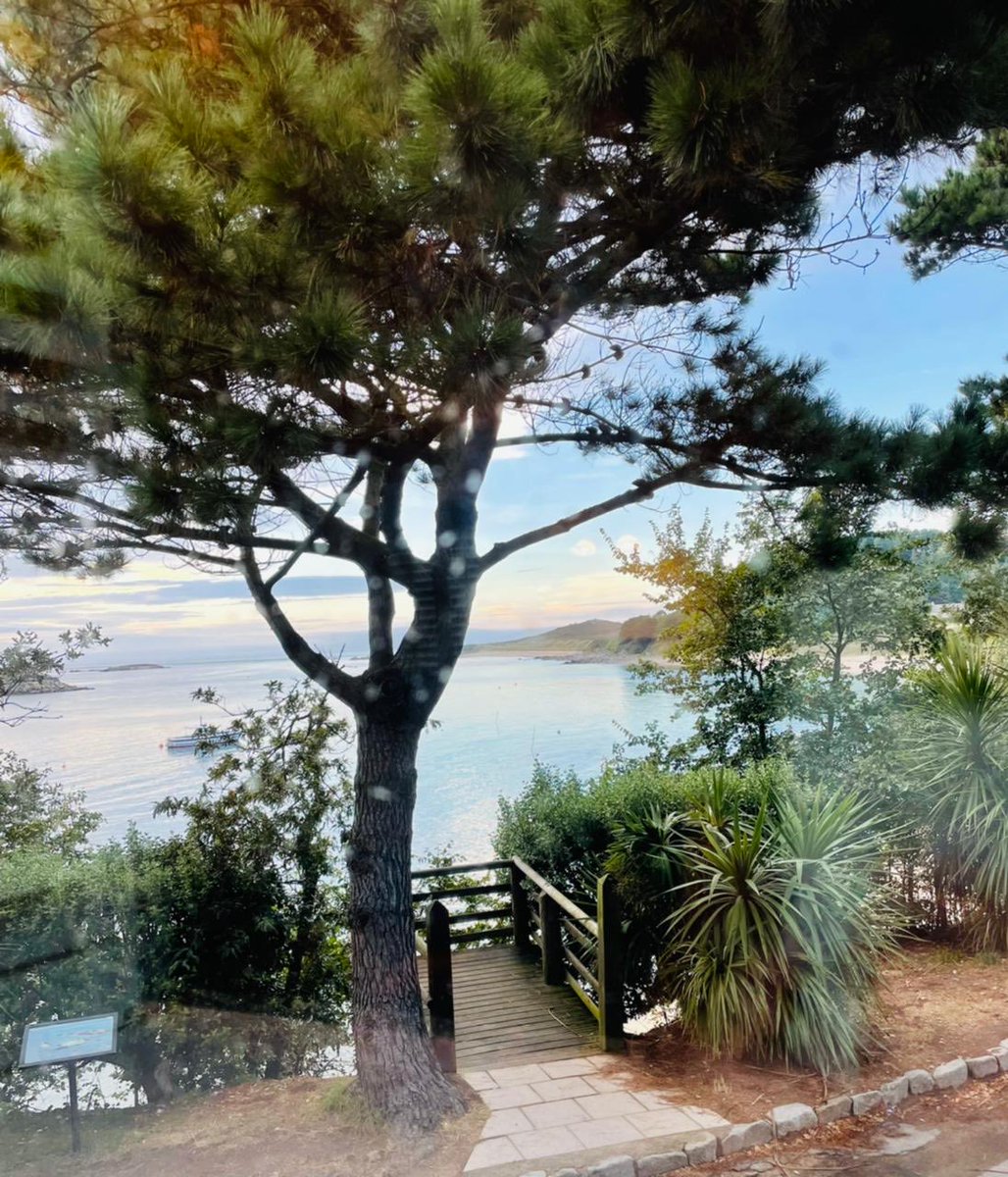 Anne (@guernseyanne) on Twitter photo A room with a view! Herm has been super these past few days! <a href="/hermisland/">Herm Island</a> <a href="/VisitGuernsey/">VisitGuernsey</a> A room with a view! Herm has been super these past few days! <a href="/hermisland/">Herm Island</a> <a href="/VisitGuernsey/">VisitGuernsey</a>