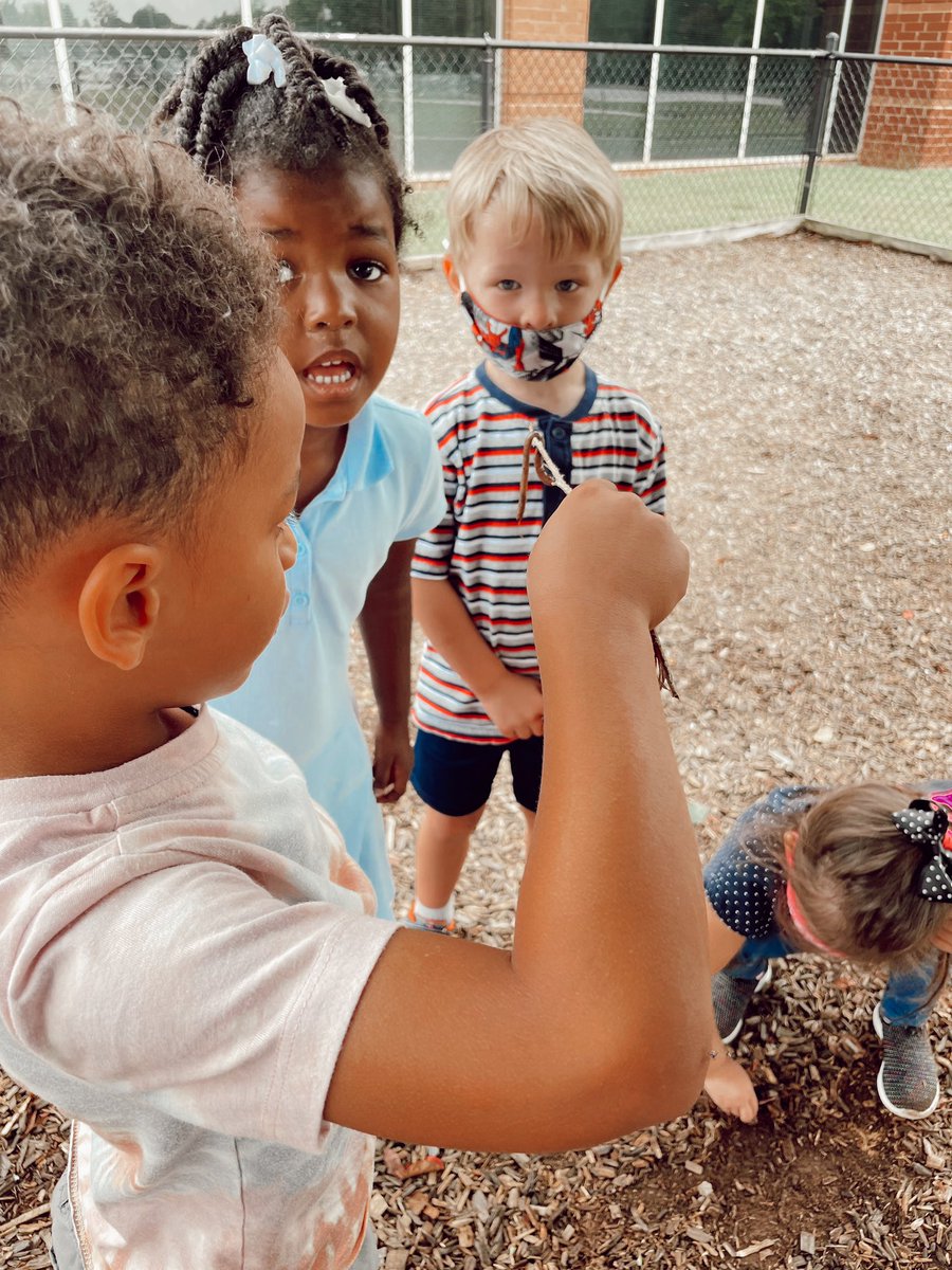 RCPS_EarlyLearn's tweet image. Earth worm 🪱 investigation #playgroundscience #earthworm
