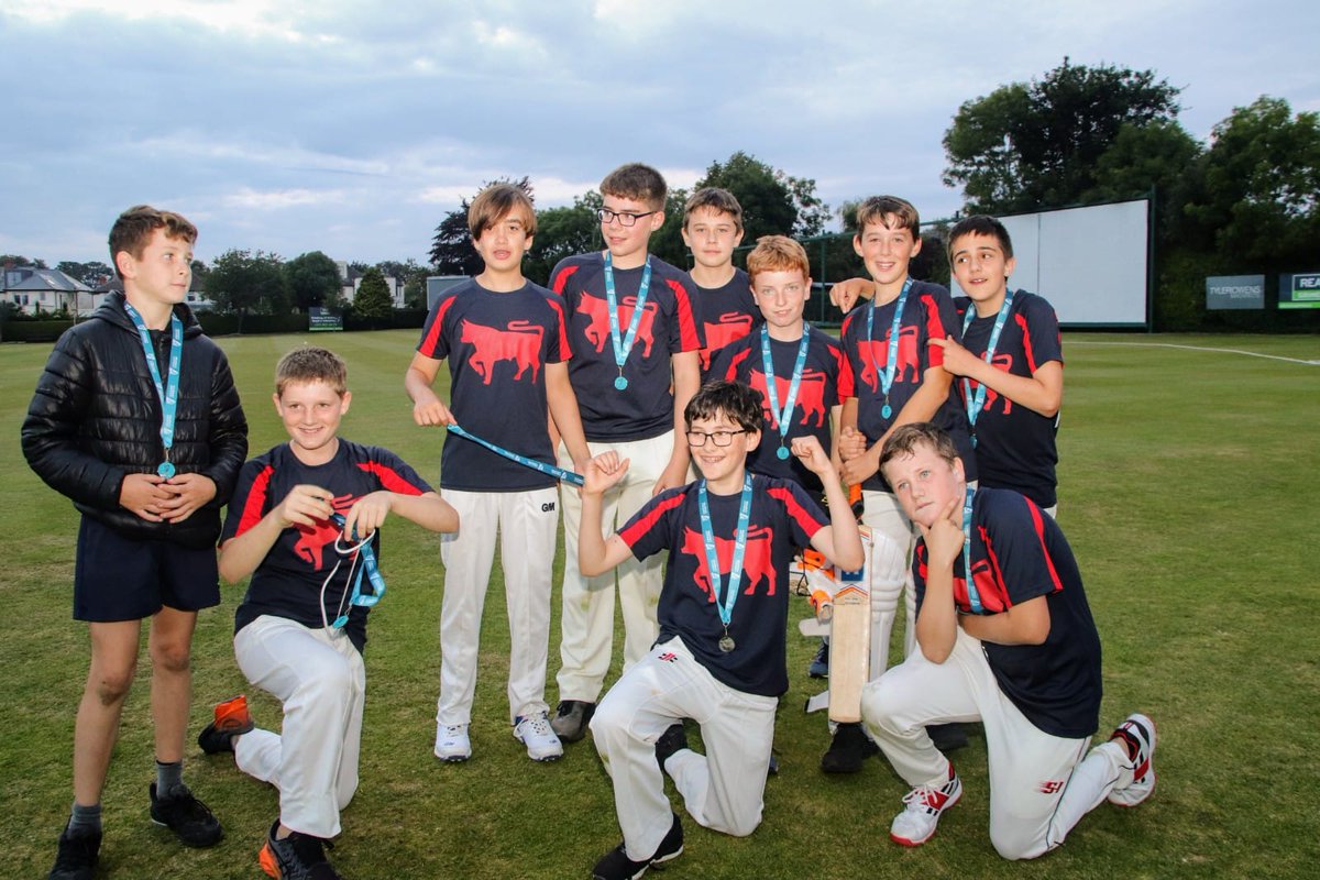 Cricket Leinster tweet media