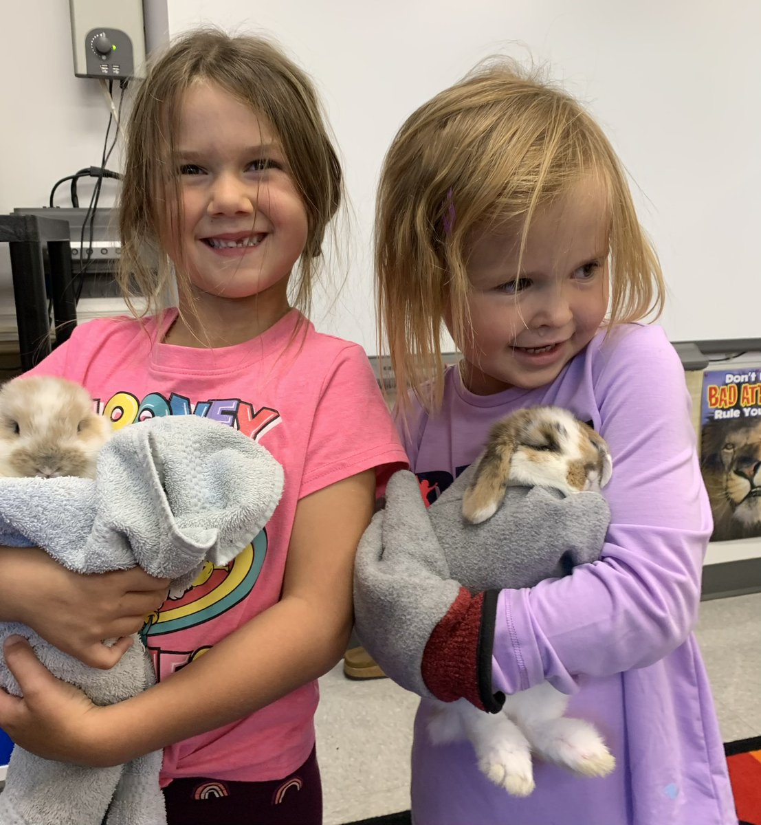 bothaschoolCSD's tweet photo. Botha School kindergarten had a fantastic time playing with Mrs. Boxmas’ bunnies. #csd71 #bothaAbschool #bunnies https://t.co/PvPDin2DIp