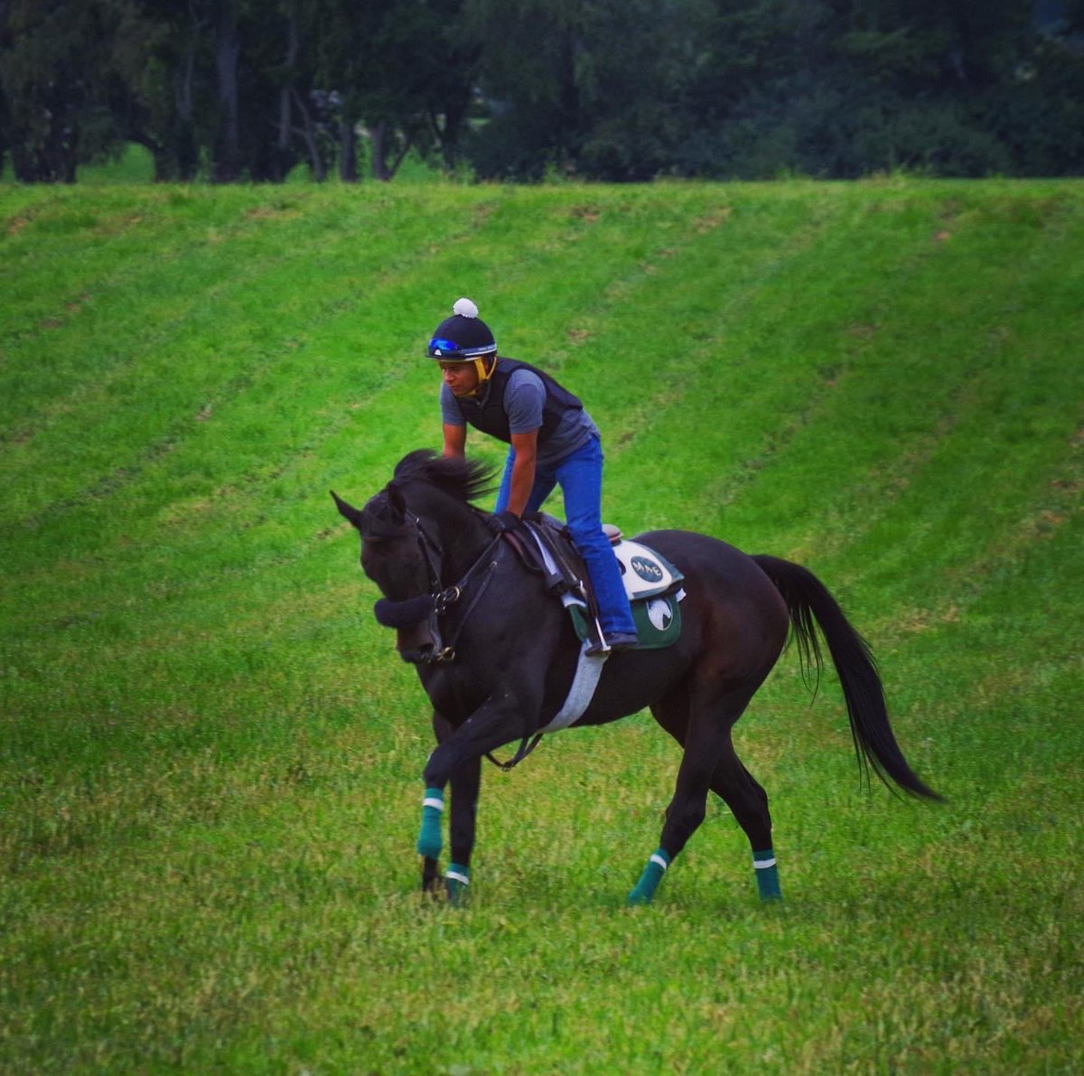 bantryfarms's tweet photo. Mummy Dearest getting ready for Kentucky Downs this Saturday. https://t.co/DlzHbxeDux