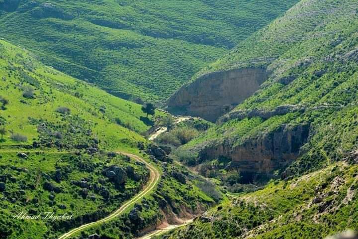 anas_khaldi's tweet photo. عروس الشمال إربد في الربيع 🤍🇯🇴 ..
جمال ما بعده جمال يا بلدي!
#زوروا_الاردن https://t.co/V6dAaPAbnr