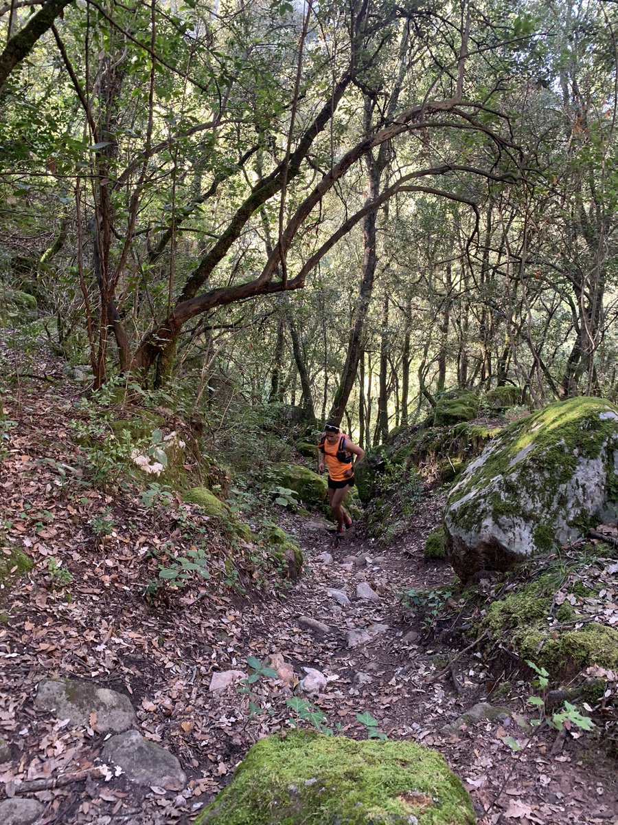 marfauped's tweet photo. #Passejant pels #CinglesdeTavertet #Osona #Catalunya https://t.co/lcxN2IYu0X