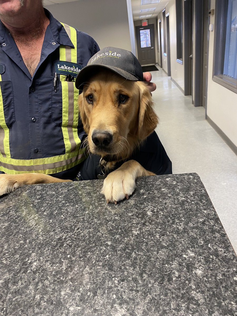Lakeside’s newest sales rep and goodest boy