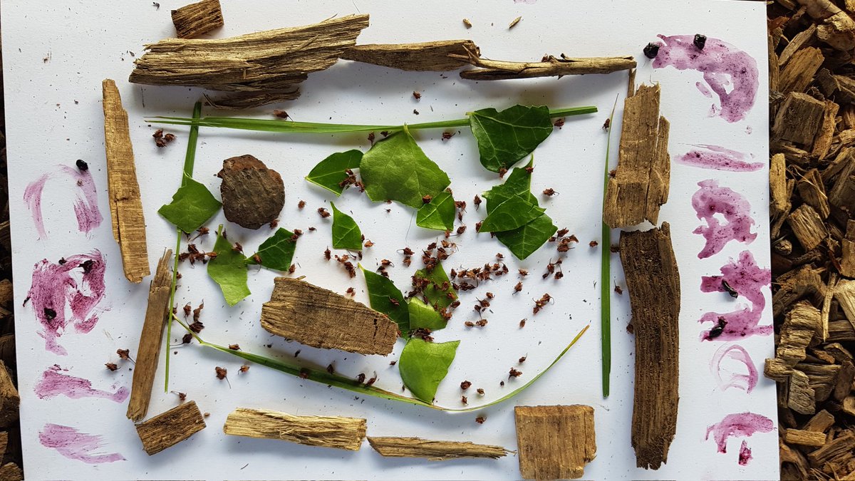 RootedInUnity's tweet image. Here is one student impressing us with his knowledge on the plant cell using natural materials and paints 🌿 he then went back into the classroom and wrote a fabulous story inspired by our 'forest' 💚 @UnityEnglish @SCIENCEUNITY @UnityBlackpool