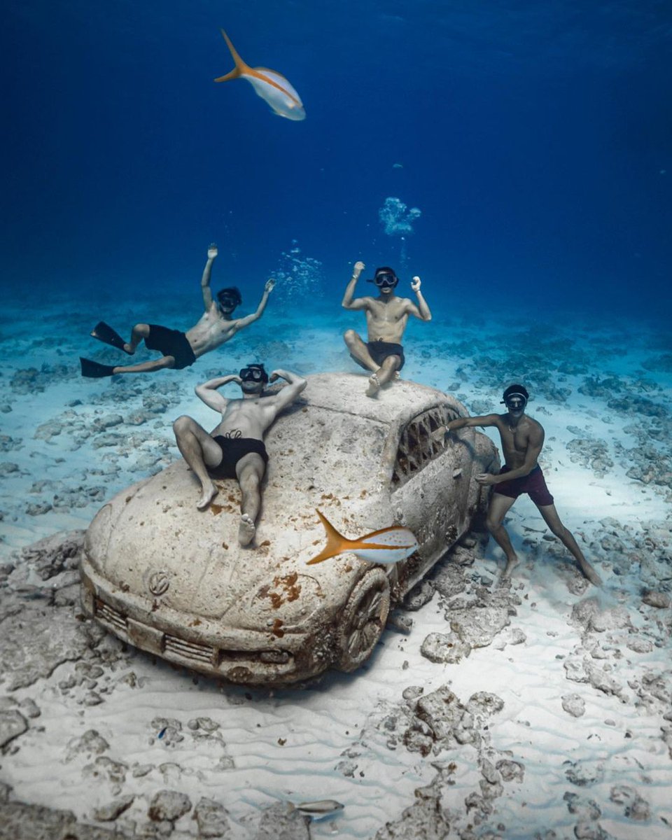 TourTravelsEc's tweet photo. Toma tu visor y tu cámara subacuática para adentrarte en las aguas del Caribe Mexicano y descubre 𝗰𝗶𝗲𝗻𝘁𝗼𝘀 𝗱𝗲 𝗲𝘀𝗰𝘂𝗹𝘁𝘂𝗿𝗮𝘀 𝘀𝘂𝗺𝗲𝗿𝗴𝗶𝗱𝗮𝘀.
📸: Benjamin Riquelme

#TourTravels #YoViajoConTourTravels #AgenciaTourTavels #PromocionesTourTravels https://t.co/AJAXmPDMsz