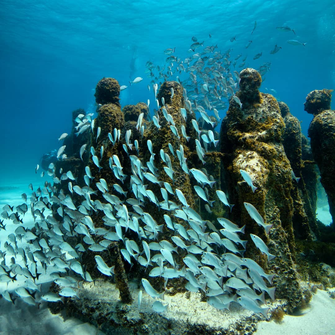 TourTravelsEc's tweet photo. Toma tu visor y tu cámara subacuática para adentrarte en las aguas del Caribe Mexicano y descubre 𝗰𝗶𝗲𝗻𝘁𝗼𝘀 𝗱𝗲 𝗲𝘀𝗰𝘂𝗹𝘁𝘂𝗿𝗮𝘀 𝘀𝘂𝗺𝗲𝗿𝗴𝗶𝗱𝗮𝘀.
📸: Benjamin Riquelme

#TourTravels #YoViajoConTourTravels #AgenciaTourTavels #PromocionesTourTravels https://t.co/AJAXmPDMsz
