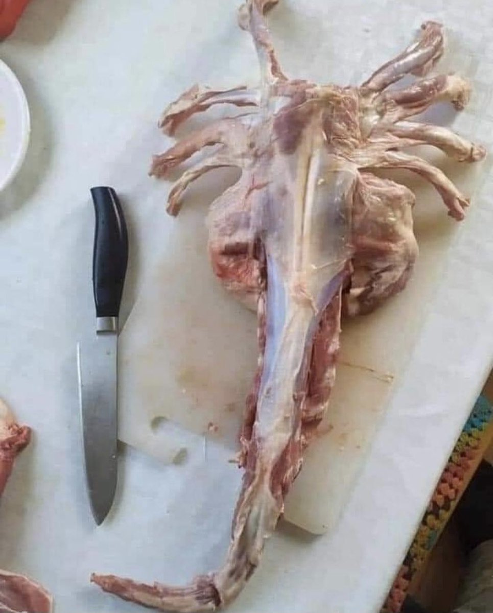 Xenomorph - the other white meat. 😉
