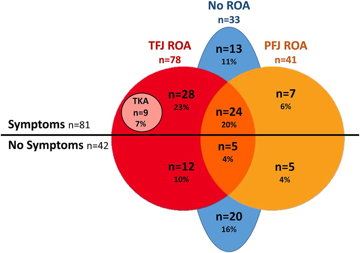 OACJournal's tweet photo. 🌟 New article in press 🌟 

Prognostic factors for tibiofemoral and patellofemoral osteoarthritis 32-37 years after anterior cruciate ligament injury managed with early surgical repair or rehabilitation alone

👉 https://t.co/V82G14ynH0

#osteoarthritis @OARSInews @stephfilbay https://t.co/F9T5YlgXay