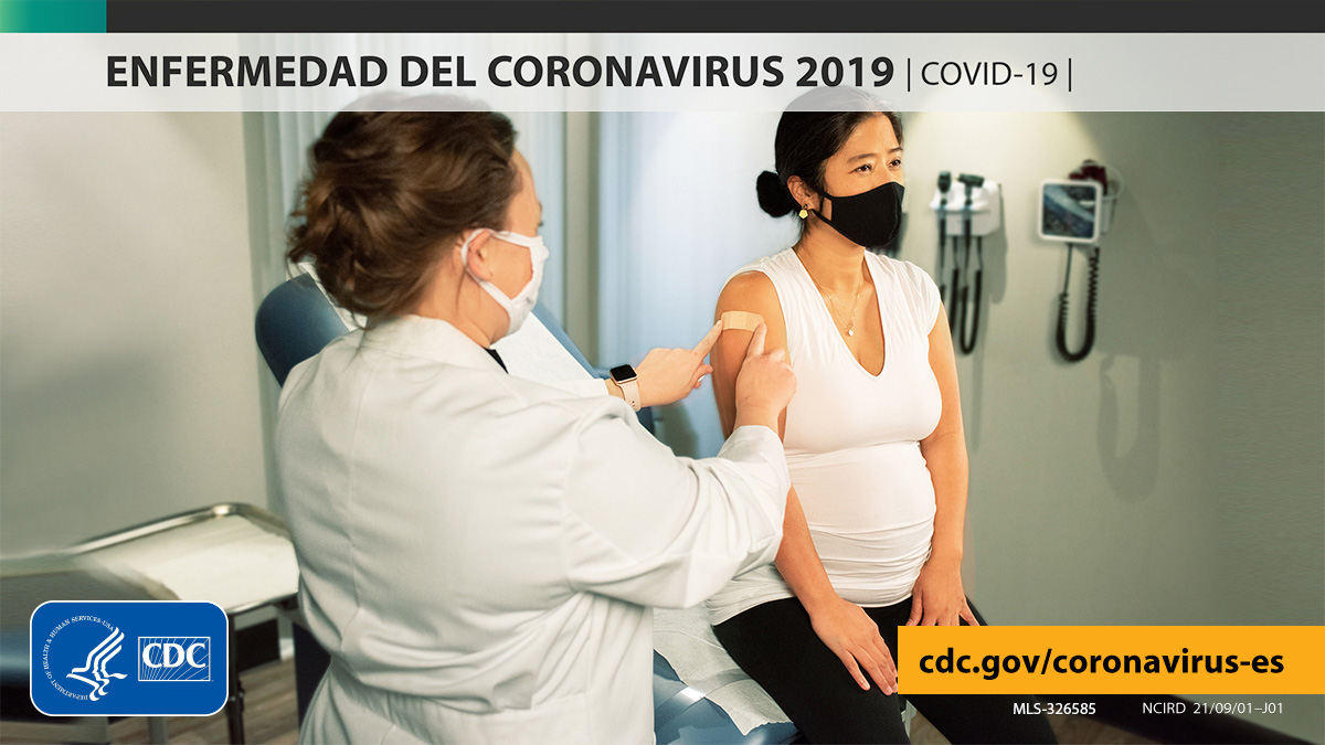 CDCespanol's tweet photo. Los casos de #COVID19 en personas embarazadas están aumentando en el país. En julio, se reportaron a los CDC unos 1000 casos nuevos por semana. Si estás embarazada o lo estuviste recientemente, vacúnate y toma medidas para protegerte a ti y al bebé ahora. https://t.co/LBMx0nVqli https://t.co/VdlVLpMCuO