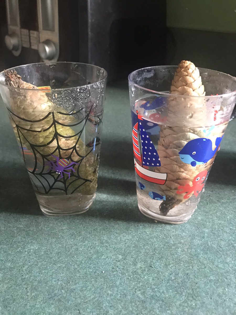 Danielle Ayers tweet media