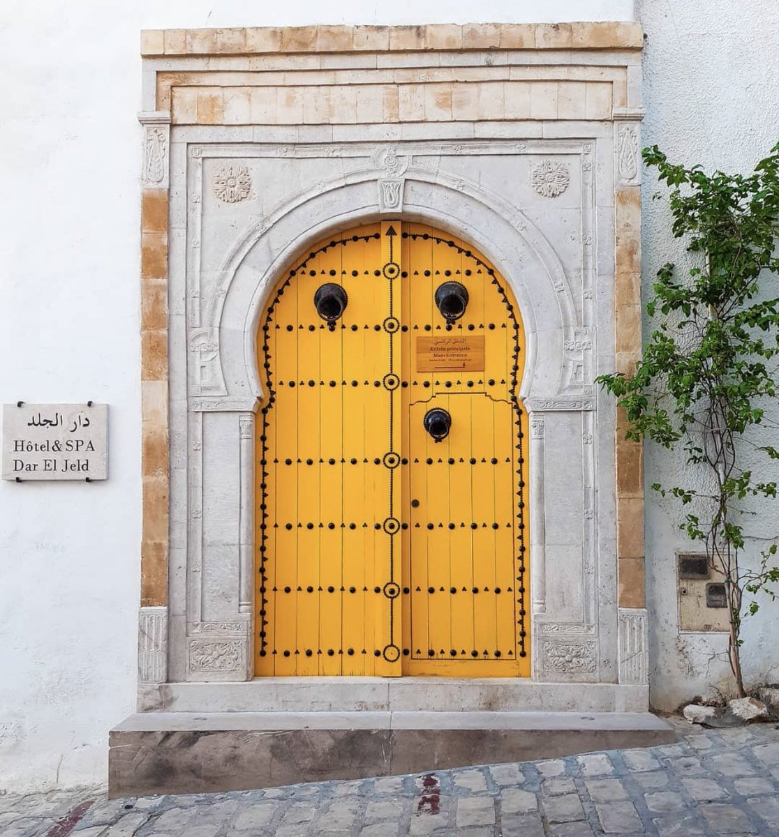 tunpost's tweet photo. More of lovely tunisian doors 🗝 https://t.co/Zz8LzVFziE