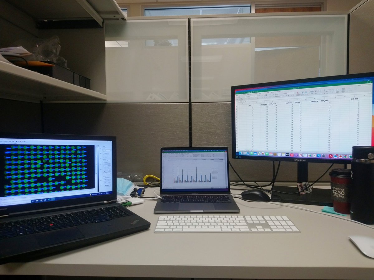 d_gotarkar's tweet photo. Summer field season is almost at the end and now time to arrange and analyze that loads of data we have been collecting for past few months.
#RIPEproject @agsynbiolab #soybean #fieldwork #dataanalysis #photoprotection #photosynthesis https://t.co/P1WNv6fqF6