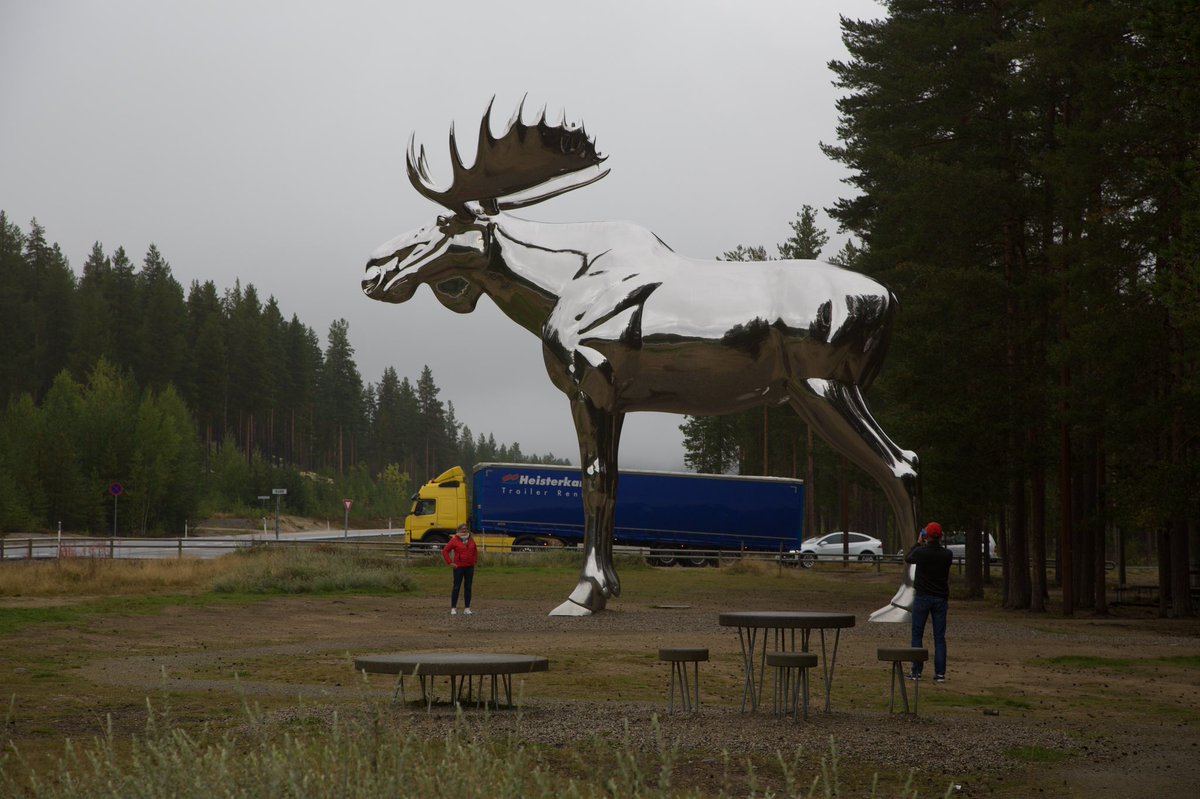 Botenwagen's tweet photo. Mensen willen steeds vaker met Tweety AKA De Kanarie op de foto. #storelgen #moose #bigmoose #norge #norway #norwegen #noorwegen #volvofm #heisterkamp #volvotrucks #volvofm https://t.co/VpcXZ7NGv3