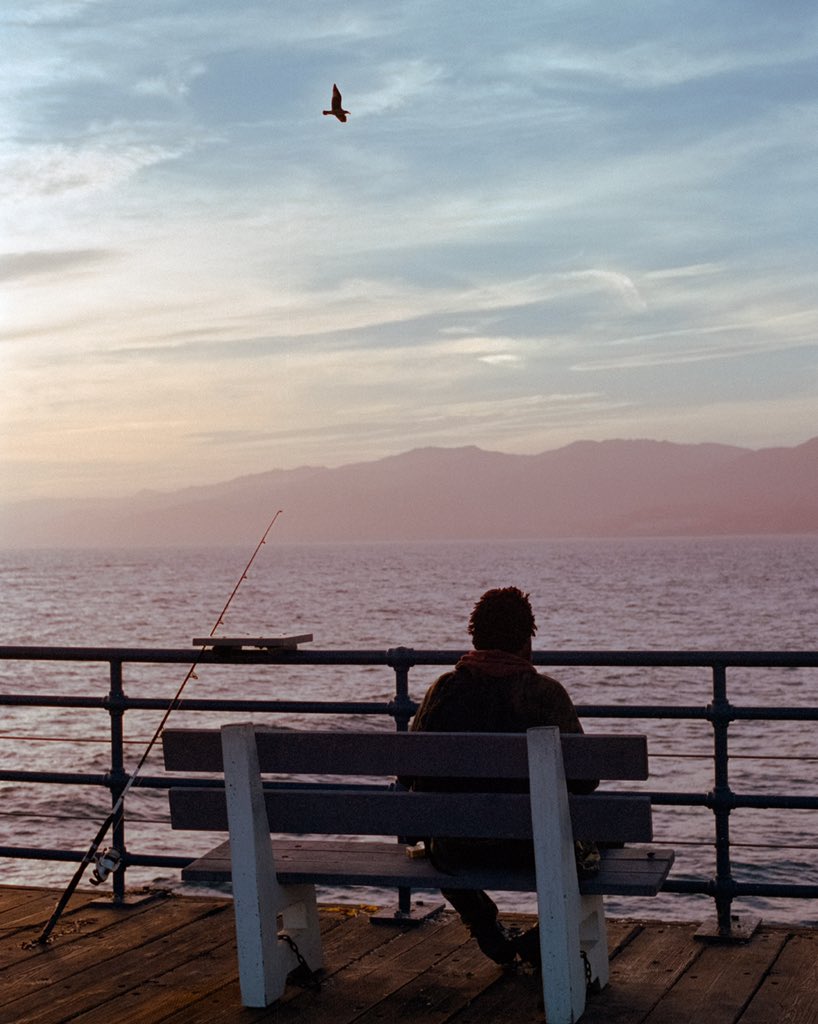 nick rufo on Twitter: 