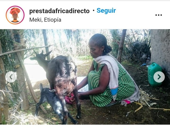 jm_elbarbas's tweet photo. @PrestadAD con @AfricaDirecto también es IMPACTO, FRUTOS, VIDA, ESPERANZA... GRACIAS! https://t.co/pyh5sRQyci https://t.co/rBqJAiudA5