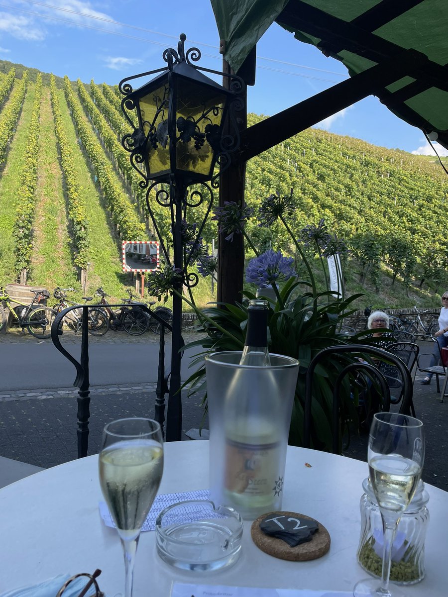 WeinPiraten's tweet photo. „Wegen des gefährlichen, öffentlichen Begegnungsverkehrs im #Wingert hat der Winzer in weiser Voraussicht und aus Angst, dass seine Gäste auf einem Kühlergrill landen, einen konkaven Verkehrsspiegel etabliert! Damit nix arg Schlimmes passiert, beim törgelen .. äh.. torkeln!“;))) https://t.co/saHMCp6a3A