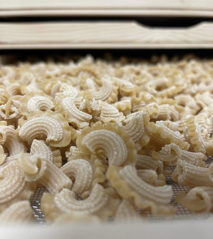 Number1Sons's tweet image. Gabriel makes intricate small-batch pastas in Virginia as Foggy Mountain Pasta. This is the Summer Winter Creste di Galli, the best of both worlds — delicate but with good bite. We met him a long time ago at markets and are glad to offer his pastas for home delivery.