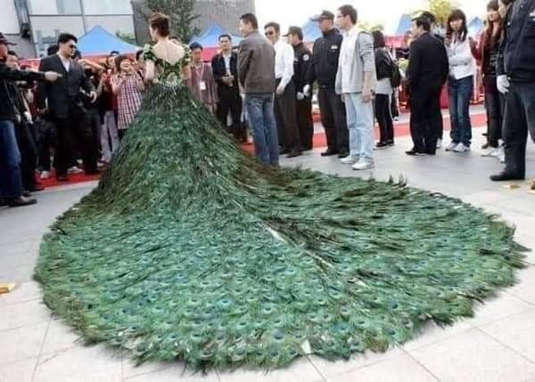 rogeliomtz75's tweet photo. La belleza que vemos en este vestido, en realidad es la causa de mucho dolor 😪 https://t.co/pJ8tfoL28g