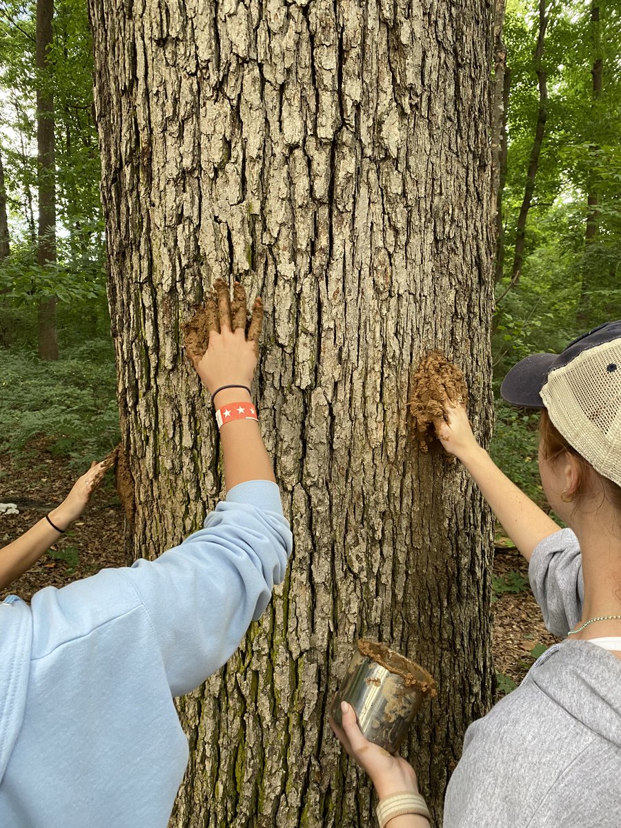 We got our hands dirty in #NatureAwareness today. Nothing like making mud faces! #ElonEd #teachoutside #engagedlearning <a href="/elon_core/">Elon Core Curriculum</a> #enviroed #artmaking