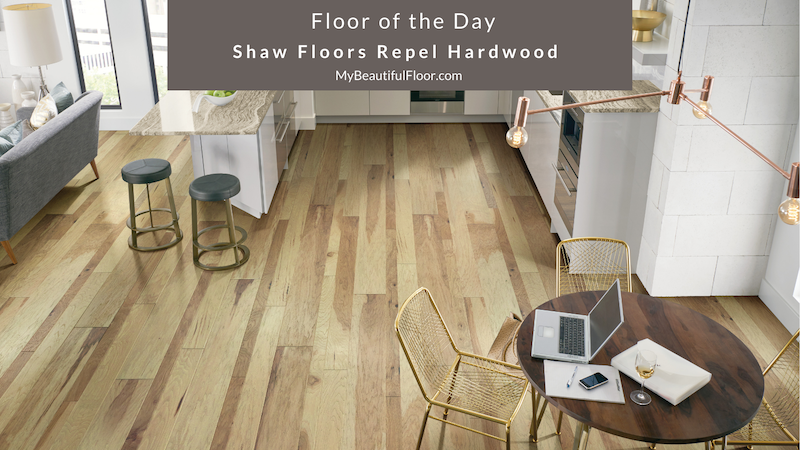 Waterproof Hardwood Flooring is Here!
Floor of the Day – <a href="/Shaw_Inc/">Shaw Industries</a> Floors Repel Hardwood 
bit.ly/RealWoodRealLi… 
#flooroftheday #ihavethisthingwithfloors #Floorlove #homedecor #flooring #floors #hardwoodflooring #hardwood #woodfloor #woodflooring #mybeautifulfloor