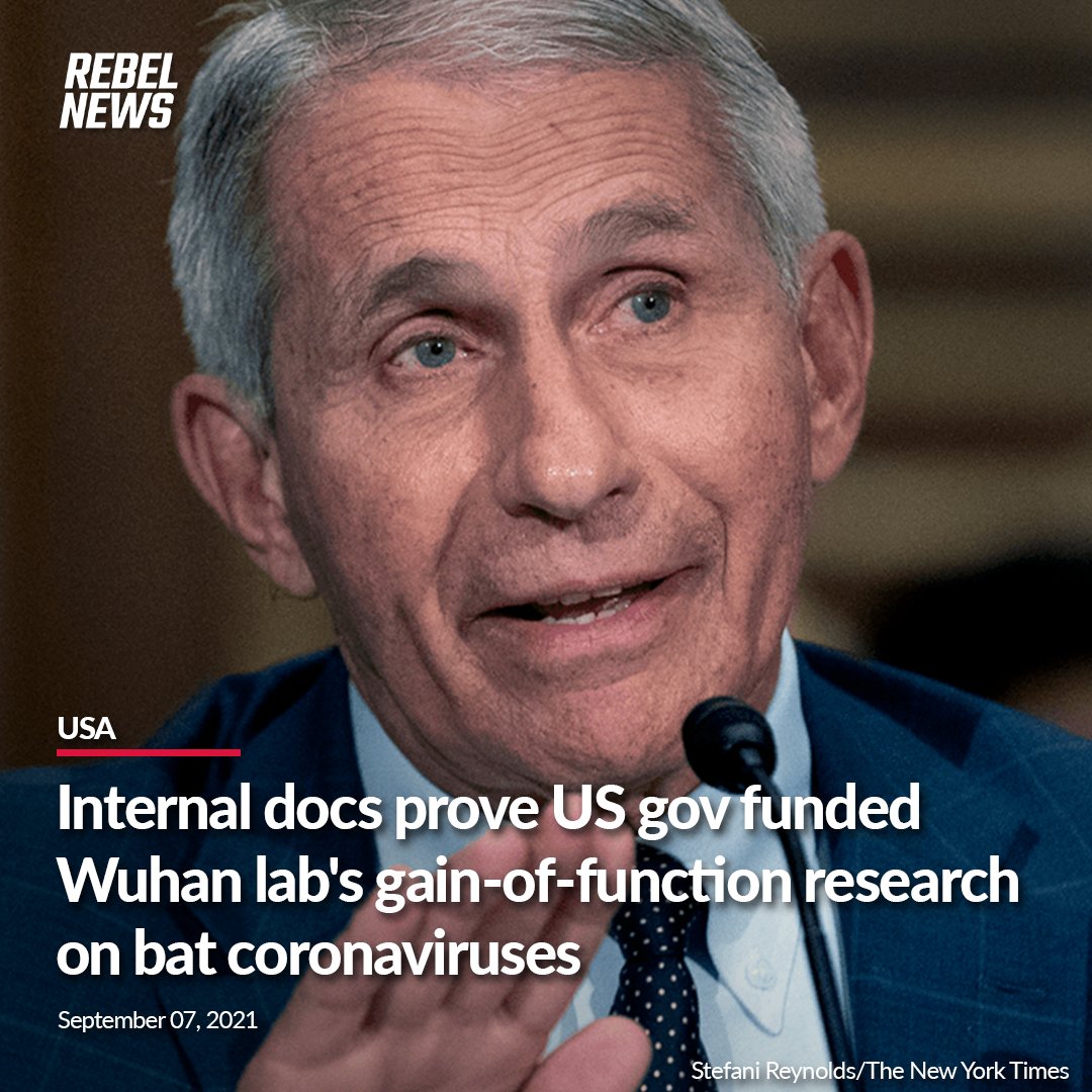 American government grants included $599,000 for the Wuhan Institute of Virology, used in part to identify and alter bat coronaviruses likely to infect humans.

MORE: rebelne.ws/38LsGH1