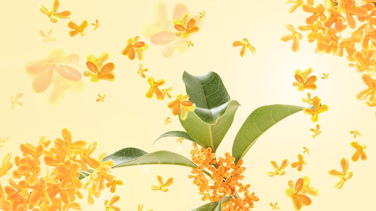 Savon Co Savonandcompany Twitter