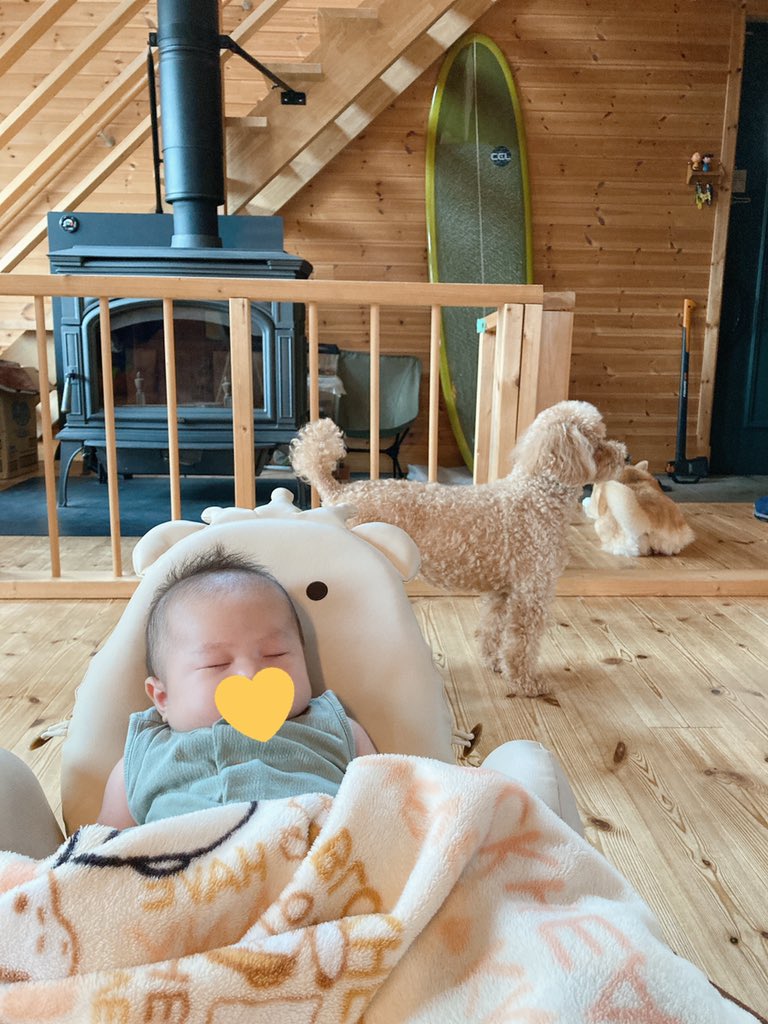 長男のときにレビューした #テディハグ、次男でも大活躍してくれてます！

「#泣かないイス 」って言うだけあってごきげんなまま眠りについてくれるよ🥺💞

tamayururi.com/teddy_hug/