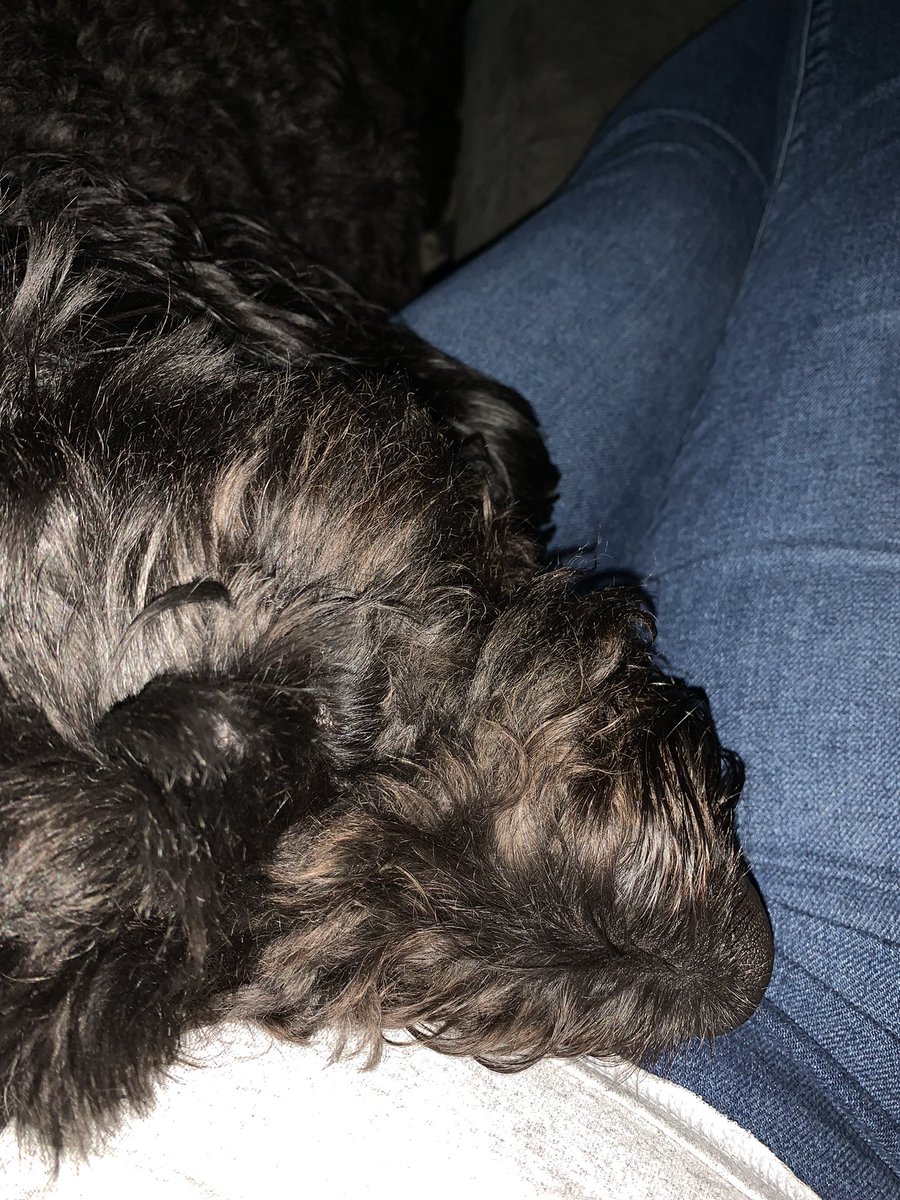 Erica Northup tweet media