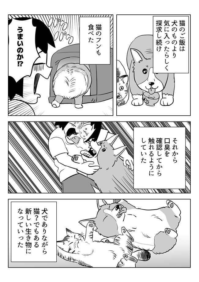 猫になろうとした愛犬の思い出漫画です。↓続きはこちらから

「【漫画】逆襲のアニマルメモリー」 https://t.co/pngdw5yLWT 