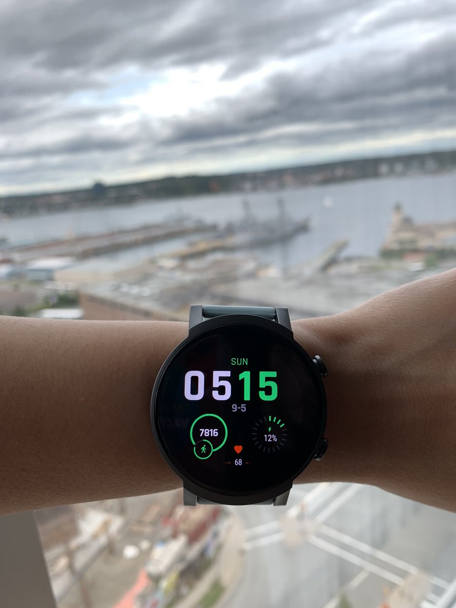 Turtle turtle tweet media