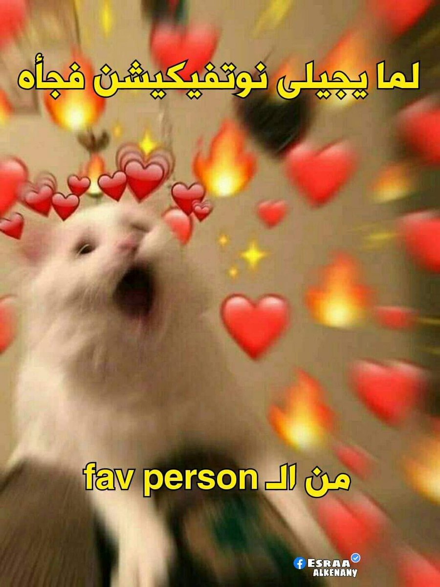 ema (@iemanayman) on Twitter photo 